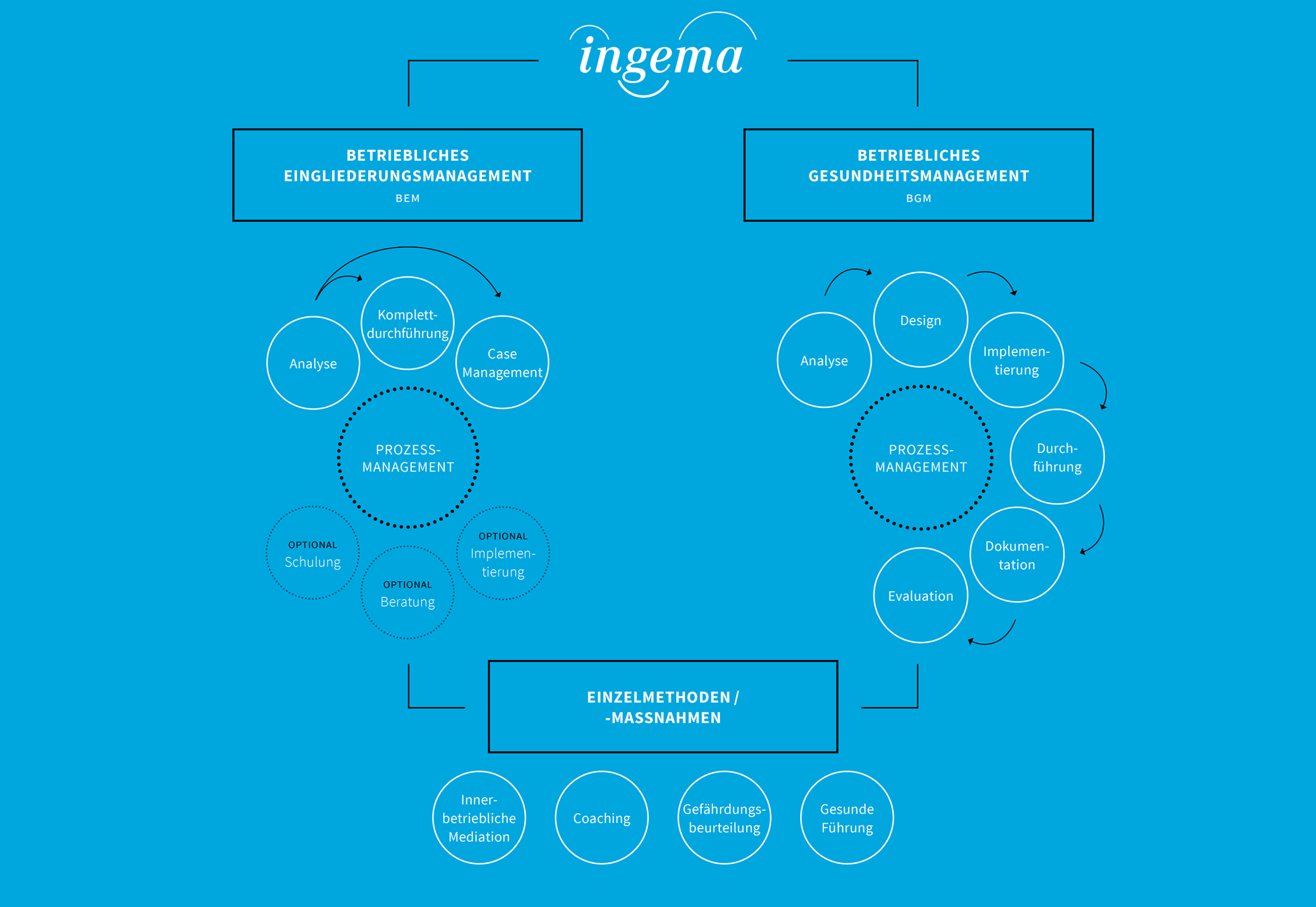 ingema_experts_grafik